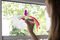 Disegnare motivi su superfici in vetro - Gattino sull'arcobaleno