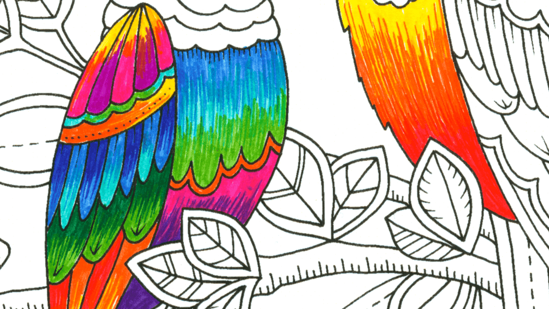 colouring with fineliners