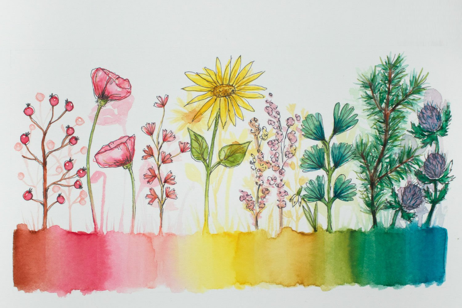 Combining Ink With Watercolor: Essential Tips Best Pens and Inks - Erika  Lancaster- Artist + Online Art Teacher