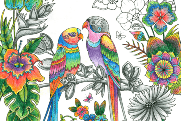 Techniques de coloriage mixtes avec des crayons de couleur et des crayons graphite