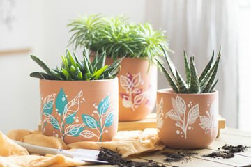 DIY flowerpots decorated with paint markers