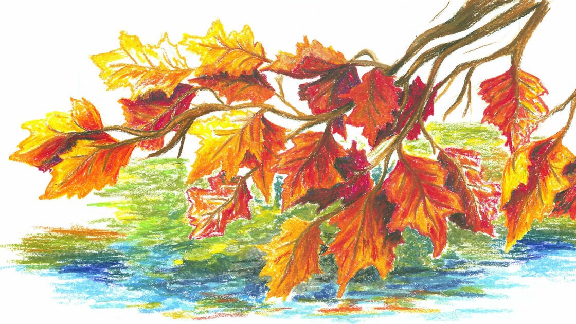 Herbstblätter mit Öl-Pastellkreiden zeichnen