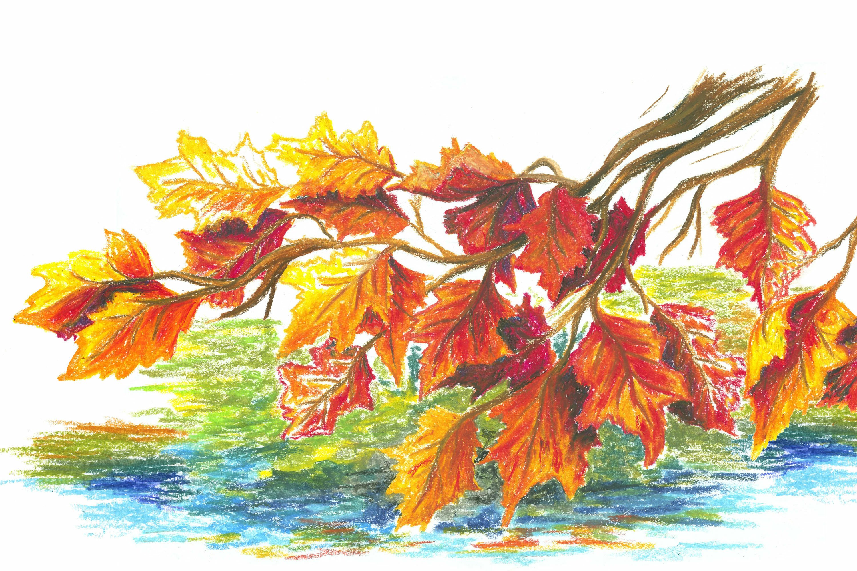 https://e.staedtlercdn.com/fileadmin/_processed_/4/2/csm_STAEDTLER_painting-autumn-leafs_Milieu_83276c1f46.jpg