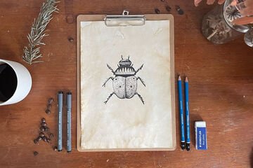 Desenho monocromático – Escaravelho com base na técnica de desenho Dotwork