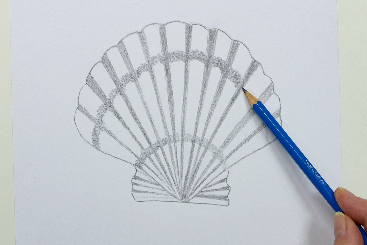 DIY Sea shell drawings | STAEDTLER