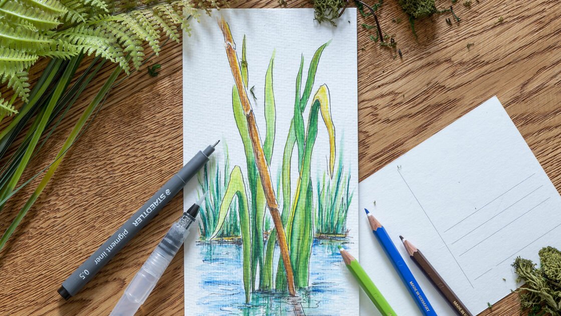 Postcard with watercolour reed