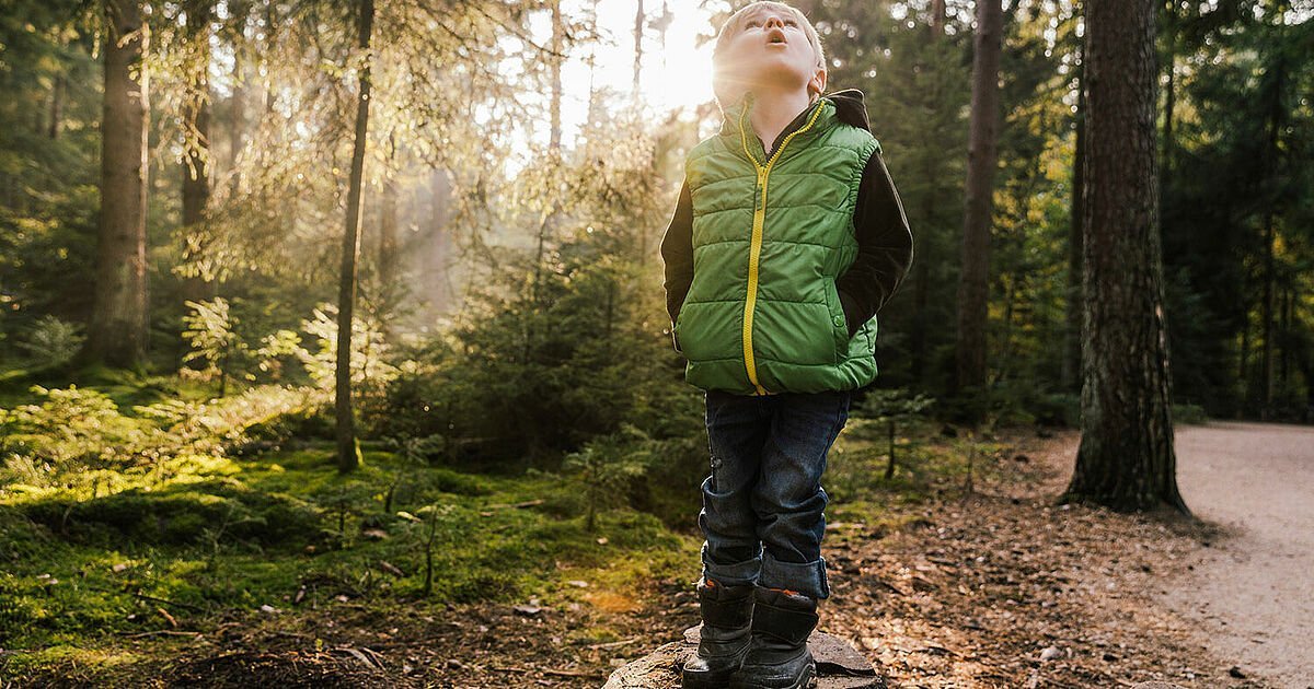 Anleitung fuer einen Waldspaziergang