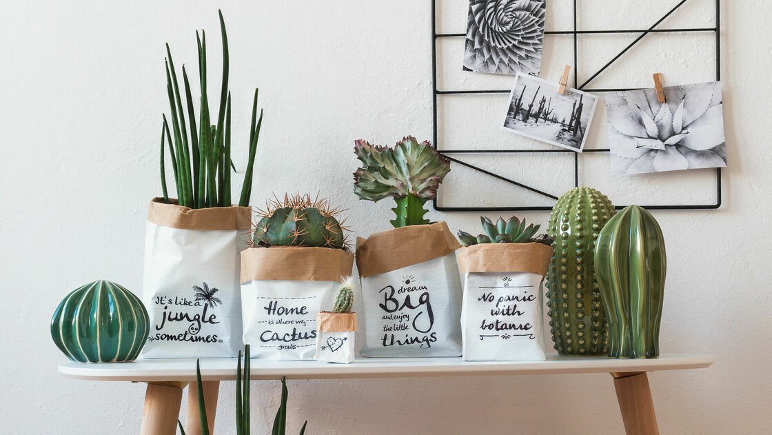 Paper bags with hand lettering