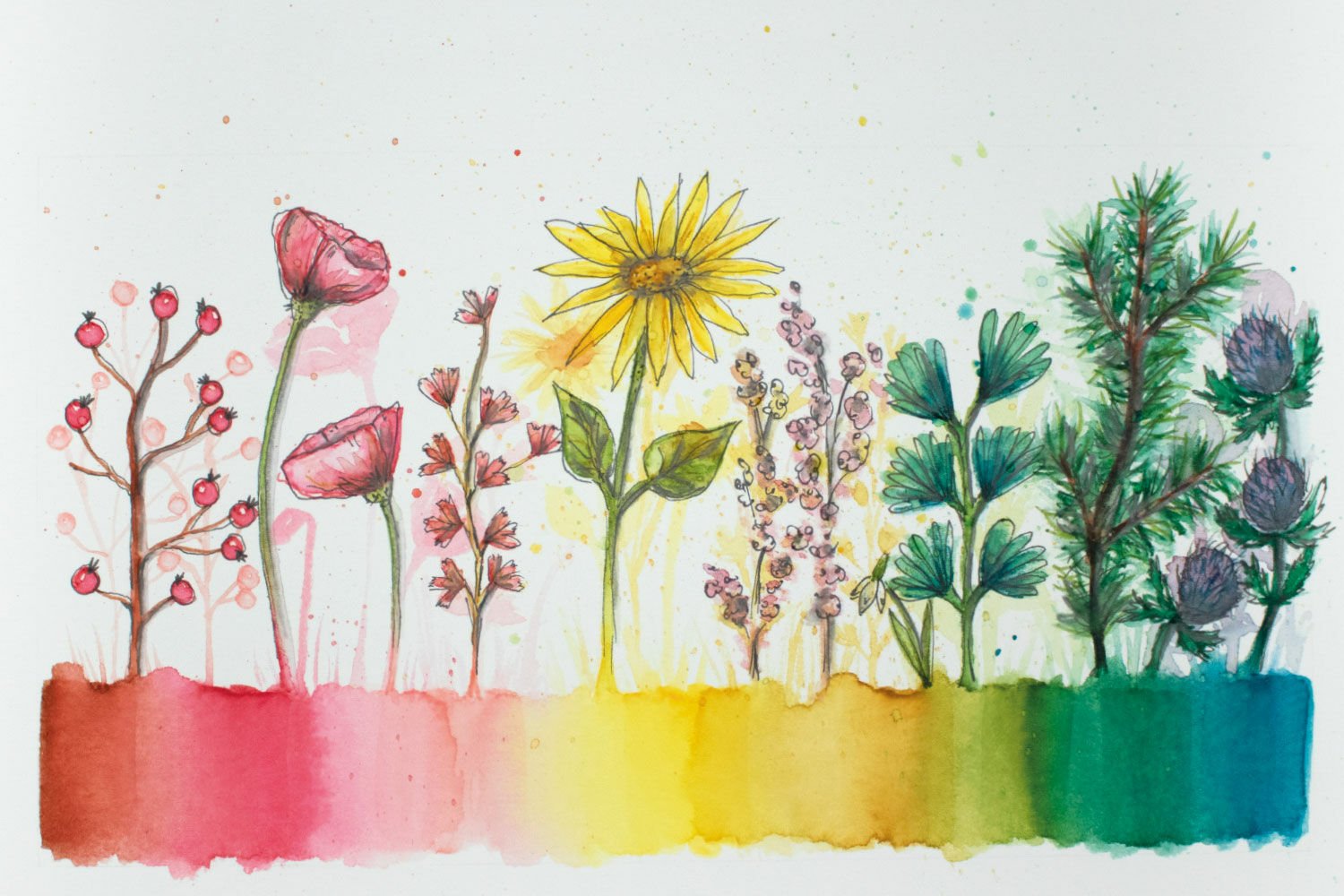 Create Beautiful Watercolor Flowers: A Step-by-Step Guide for