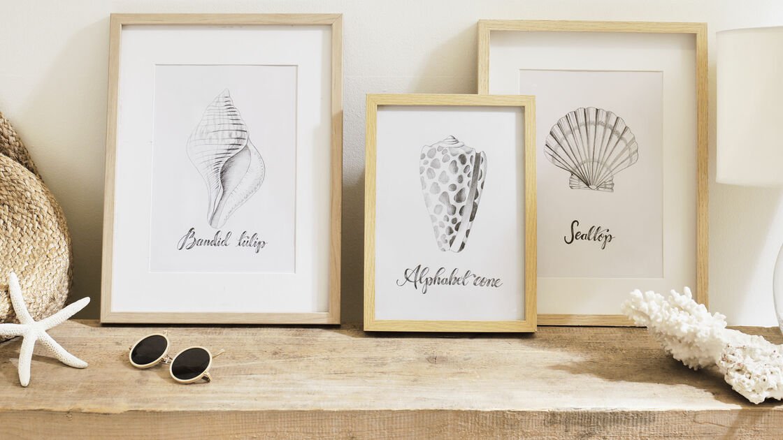 DIY Sea shell drawings