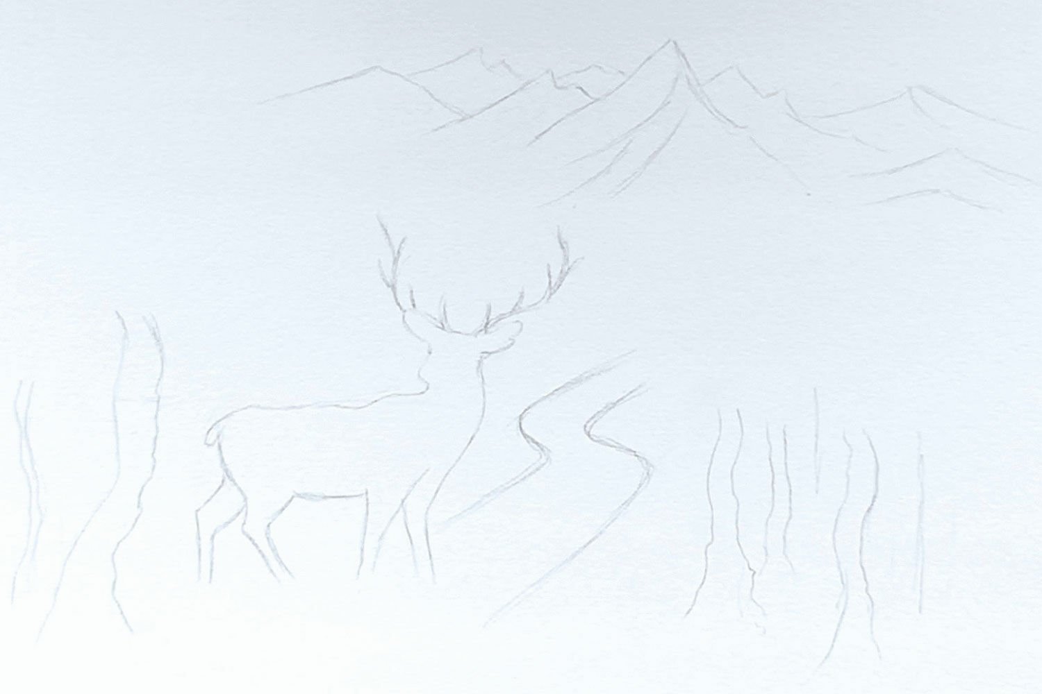 How to draw easy white tailed deer drawing by kids step by step - YouTube