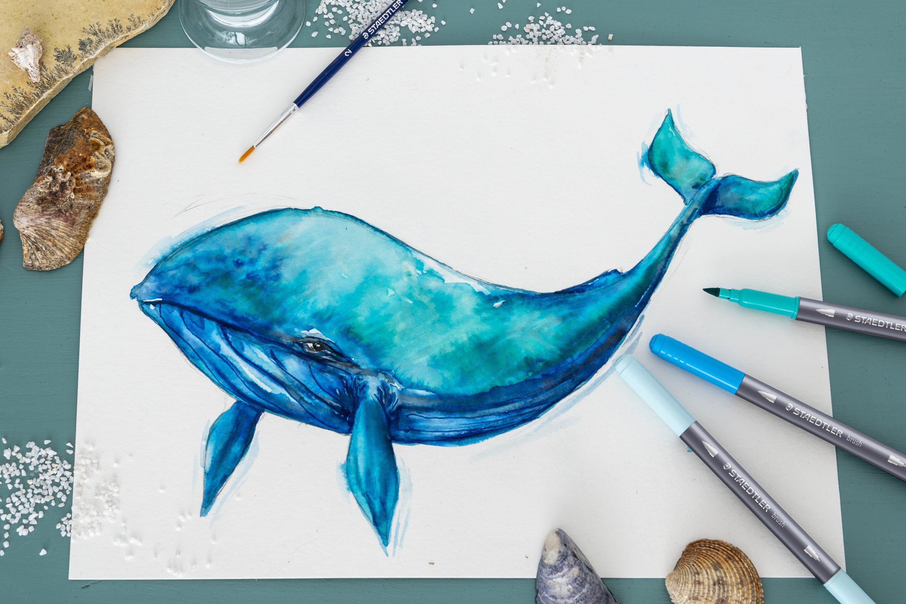 hengel Gevangenisstraf Verwant Watercolour brush pen whale | STAEDTLER