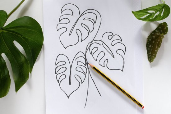 Minimalistische Line Art im Boho Style