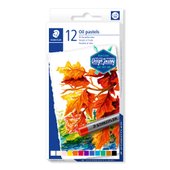 Cardboard box containing 12 oil pastels in assorted colours