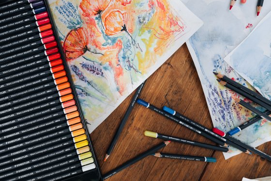 Artist coloured pencils
