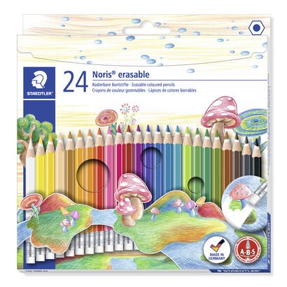 Kartonetui mit 24 Buntstiften in sortierten Farben