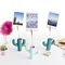 DIY trend topic set "cacti photo clip holders" in cardboard box. Content: 4 half blocks á 25 g (2 x emerald, pastel mint, raspberry), 3 x photo clip holders, instructions
