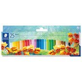 Cardboard box containing 25 oil pastel crayons in assorted colours