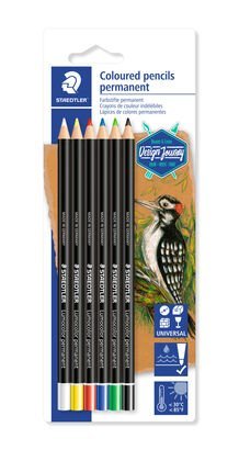 Blíster con 6 lápices permanentes en colores surtidos