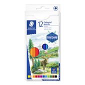 STAEDTLER® 146C Kartonetui mit 12 Farbstiften in sortierten Farben